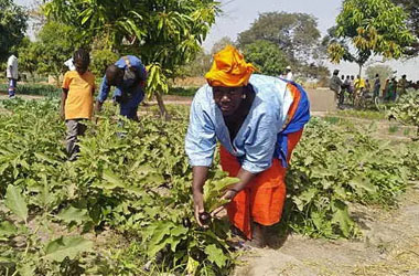 fassulo developpement rural